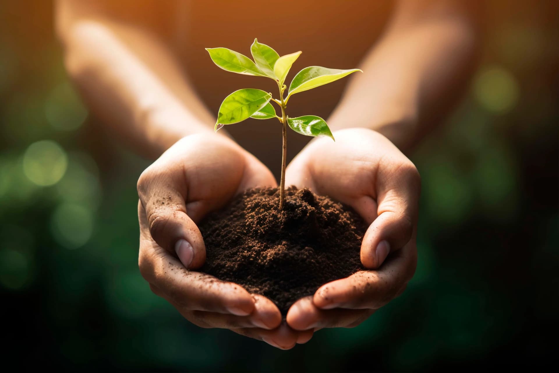 Sustainability at Birla Aircon